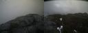./images/calvert/buxton2/20210423/buxton220210423_180503M.jpg