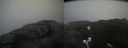./images/calvert/buxton2/20210423/buxton220210423_181003M.jpg