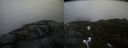 ./images/calvert/buxton2/20210423/buxton220210423_193504M.jpg