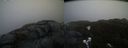 ./images/calvert/buxton2/20210423/buxton220210423_194504M.jpg