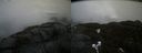 ./images/calvert/buxton2/20210424/buxton220210424_124004M.jpg