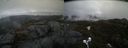 ./images/calvert/buxton2/20210424/buxton220210424_125504M.jpg