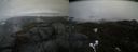 ./images/calvert/buxton2/20210424/buxton220210424_131004M.jpg