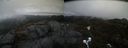 ./images/calvert/buxton2/20210424/buxton220210424_134003M.jpg