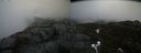 ./images/calvert/buxton2/20210424/buxton220210424_135503M.jpg