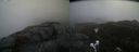 ./images/calvert/buxton2/20210424/buxton220210424_140503M.jpg