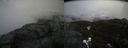 ./images/calvert/buxton2/20210424/buxton220210424_141503M.jpg