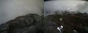 ./images/calvert/buxton2/20210424/buxton220210424_143504M.jpg