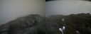 ./images/calvert/buxton2/20210424/buxton220210424_144504M.jpg