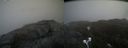 ./images/calvert/buxton2/20210424/buxton220210424_145504M.jpg