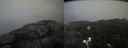 ./images/calvert/buxton2/20210424/buxton220210424_172004M.jpg