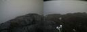 ./images/calvert/buxton2/20210424/buxton220210424_181504M.jpg