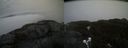 ./images/calvert/buxton2/20210424/buxton220210424_185504M.jpg