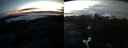 ./images/calvert/buxton2/20210425/buxton220210425_054505M.jpg