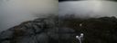 ./images/calvert/buxton2/20210427/buxton220210427_145503M.jpg