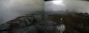 ./images/calvert/buxton2/20210427/buxton220210427_160503M.jpg