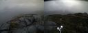 ./images/calvert/buxton2/20210428/buxton220210428_072503M.jpg