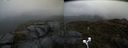 ./images/calvert/buxton2/20210428/buxton220210428_091003M.jpg
