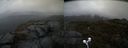./images/calvert/buxton2/20210428/buxton220210428_122003M.jpg