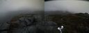 ./images/calvert/buxton2/20210428/buxton220210428_123503M.jpg
