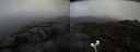 ./images/calvert/buxton2/20210428/buxton220210428_143503M.jpg