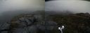 ./images/calvert/buxton2/20210428/buxton220210428_162503M.jpg