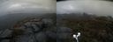 ./images/calvert/buxton2/20210428/buxton220210428_163503M.jpg