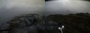 ./images/calvert/buxton2/20210428/buxton220210428_180503M.jpg
