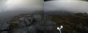 ./images/calvert/buxton2/20210429/buxton220210429_065503M.jpg