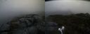 ./images/calvert/buxton2/20210429/buxton220210429_070503M.jpg
