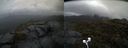 ./images/calvert/buxton2/20210429/buxton220210429_093503M.jpg