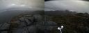 ./images/calvert/buxton2/20210429/buxton220210429_095504M.jpg