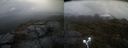 ./images/calvert/buxton2/20210429/buxton220210429_133503M.jpg