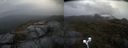 ./images/calvert/buxton2/20210429/buxton220210429_140503M.jpg