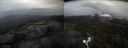 ./images/calvert/buxton2/20210429/buxton220210429_144004M.jpg