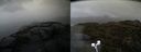 ./images/calvert/buxton2/20210429/buxton220210429_185004M.jpg