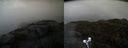 ./images/calvert/buxton2/20210429/buxton220210429_191003M.jpg