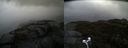 ./images/calvert/buxton2/20210429/buxton220210429_191503M.jpg