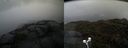 ./images/calvert/buxton2/20210429/buxton220210429_192004M.jpg