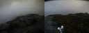 ./images/calvert/buxton2/20210429/buxton220210429_201003M.jpg
