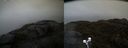 ./images/calvert/buxton2/20210429/buxton220210429_201503M.jpg