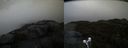 ./images/calvert/buxton2/20210429/buxton220210429_202003M.jpg