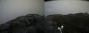 ./images/calvert/buxton2/20210430/buxton220210430_072503M.jpg