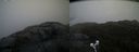 ./images/calvert/buxton2/20210430/buxton220210430_074003M.jpg