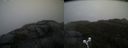 ./images/calvert/buxton2/20210430/buxton220210430_074503M.jpg
