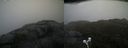 ./images/calvert/buxton2/20210430/buxton220210430_075003M.jpg