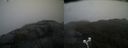 ./images/calvert/buxton2/20210430/buxton220210430_084003M.jpg