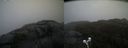 ./images/calvert/buxton2/20210430/buxton220210430_085003M.jpg
