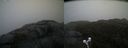 ./images/calvert/buxton2/20210430/buxton220210430_085503M.jpg