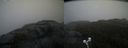 ./images/calvert/buxton2/20210430/buxton220210430_090503M.jpg